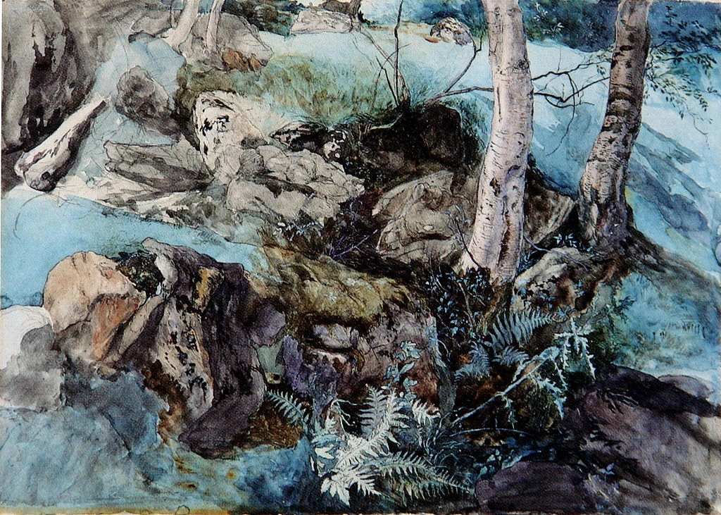 Rocce e felci in un bosco a Crossmount, 1847